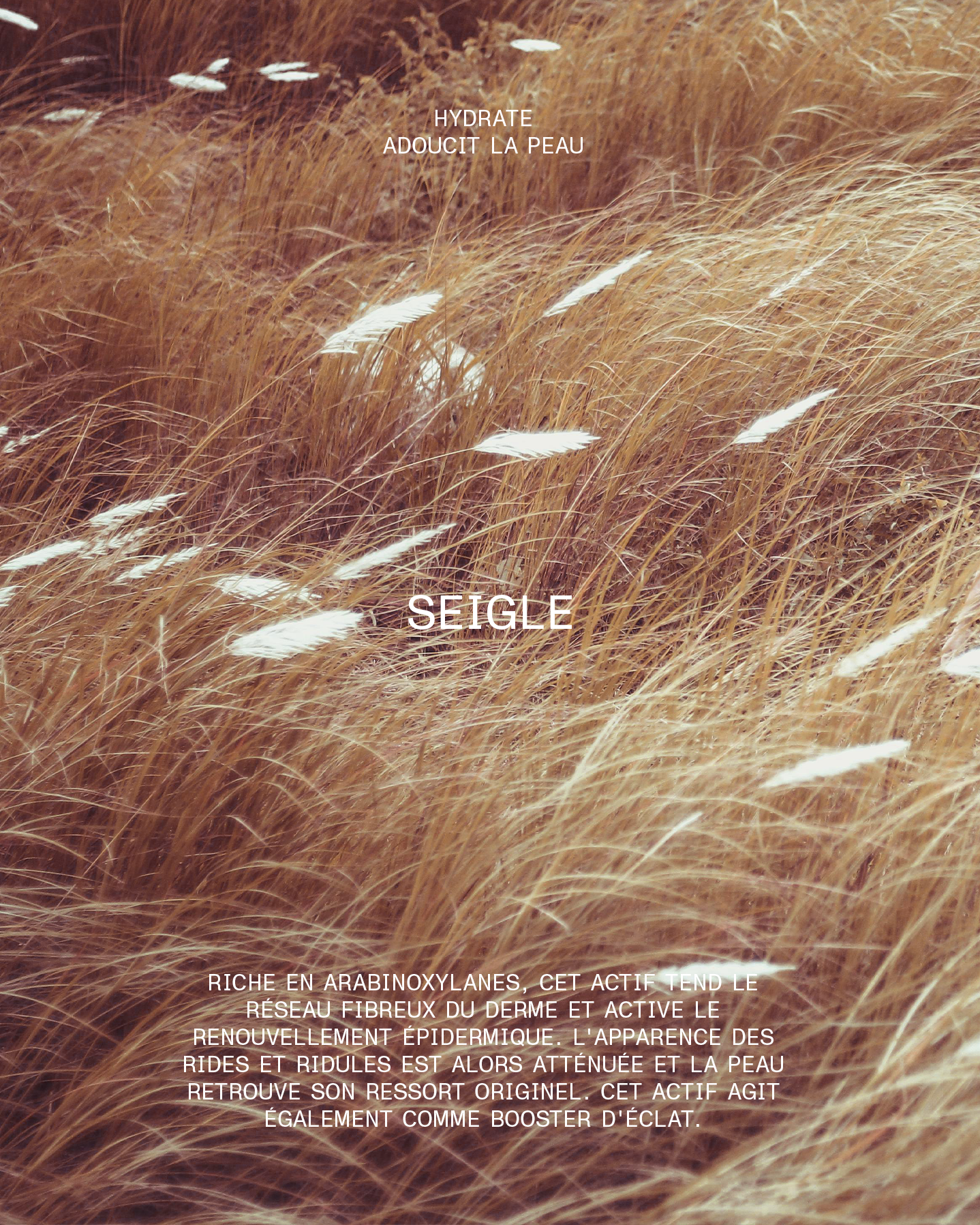 Blush Enlumineur 006 Bronze Cuivre