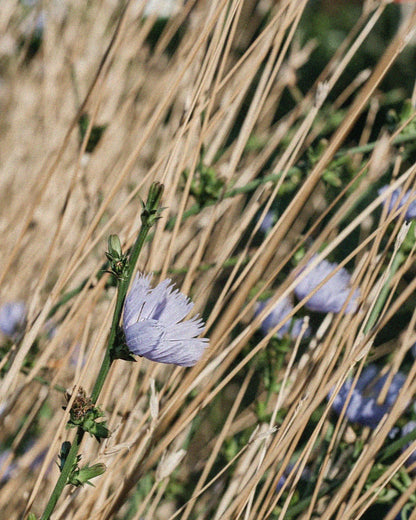 Coffret The glow ritual set